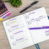 Crayola 4 CT IRIDESCENT GEL PENS