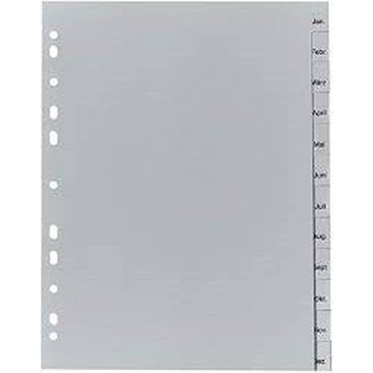 Divider January To December Grey-Filiing Accessories-Other-Star Light Kuwait