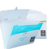 Expanding File 12 Pocket A4 With Handle 1-5
