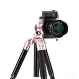 Fotopro Compact Aluminum Travel Tripod, FREE-1 ROSE GOLD - Rose Gold - Star Light Kuwait