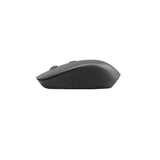 HP S1000 Plus Wireless USB Mouse