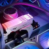 Kingston Fury Beast RGB 32GB DDR5 6000MHz CL30 Memory - White