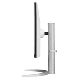 LG UltraWide FHD IPS Monitor - 34.0" IPS WFHD / 5ms / USB-C / HDMI / DisplayPort / 100Hz