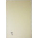 Premier Square Cut Folder 100Pcs-Filiing Accessories-Other-Star Light Kuwait