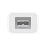 Apple Thunderbolt to FireWire Adapter