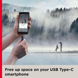 Sandisk Ultra Dual Drive Go Flash Drive – 128Gb/ 400Mb/S/ Usb 3.1 Gen 1/ Usb-C/ Black
