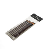 Nylon Oil Paint Brush Set of 6