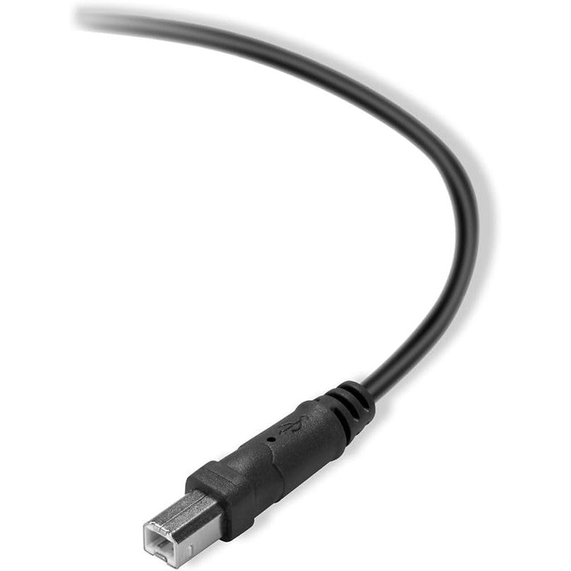 Belkin Premium Printer Cable 3Mtr - 10 Ft 4Pin USB Type B to 4Pin USB ...