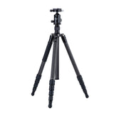 Fotopro Professional Tripod X-65C+62R Gray - Star Light Kuwait