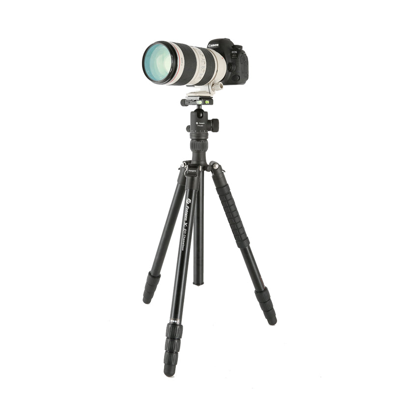 Fotopro Professional Tripod x-go Chameleon+52Q Brown + Matte Green - Star Light Kuwait