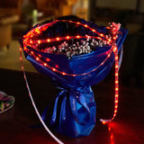 HOCO DL30 USB LED Light Strip