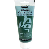 Pebeo Studio High Viscosity Acrylics - 100 Ml-Drawing And Coloring-Pebeo-Sap Green-Star Light Kuwait