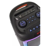 Professional Stage Speaker YB-2808