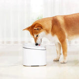 Xiaomi Smart Pet Fountain UK